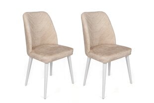 2-ių dalių kėdžių komplektas Asir, 50x90x49 cm, smėlio/baltas kaina ir informacija | Virtuvės ir valgomojo kėdės | pigu.lt