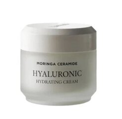 Drėkinantis kremas Heimish Moringa Ceramide Hyaluronic Hydrating Cream, 50 ml kaina ir informacija | Veido kremai | pigu.lt
