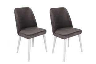 Набор из 2 стульев Asir, 50x90x49 см, серый/белый цена и информация | Стулья для кухни и столовой | pigu.lt