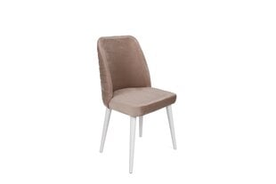 Набор из 2 стульев Asir, 50x90x49 см, бежевый/белый цена и информация | Стулья для кухни и столовой | pigu.lt