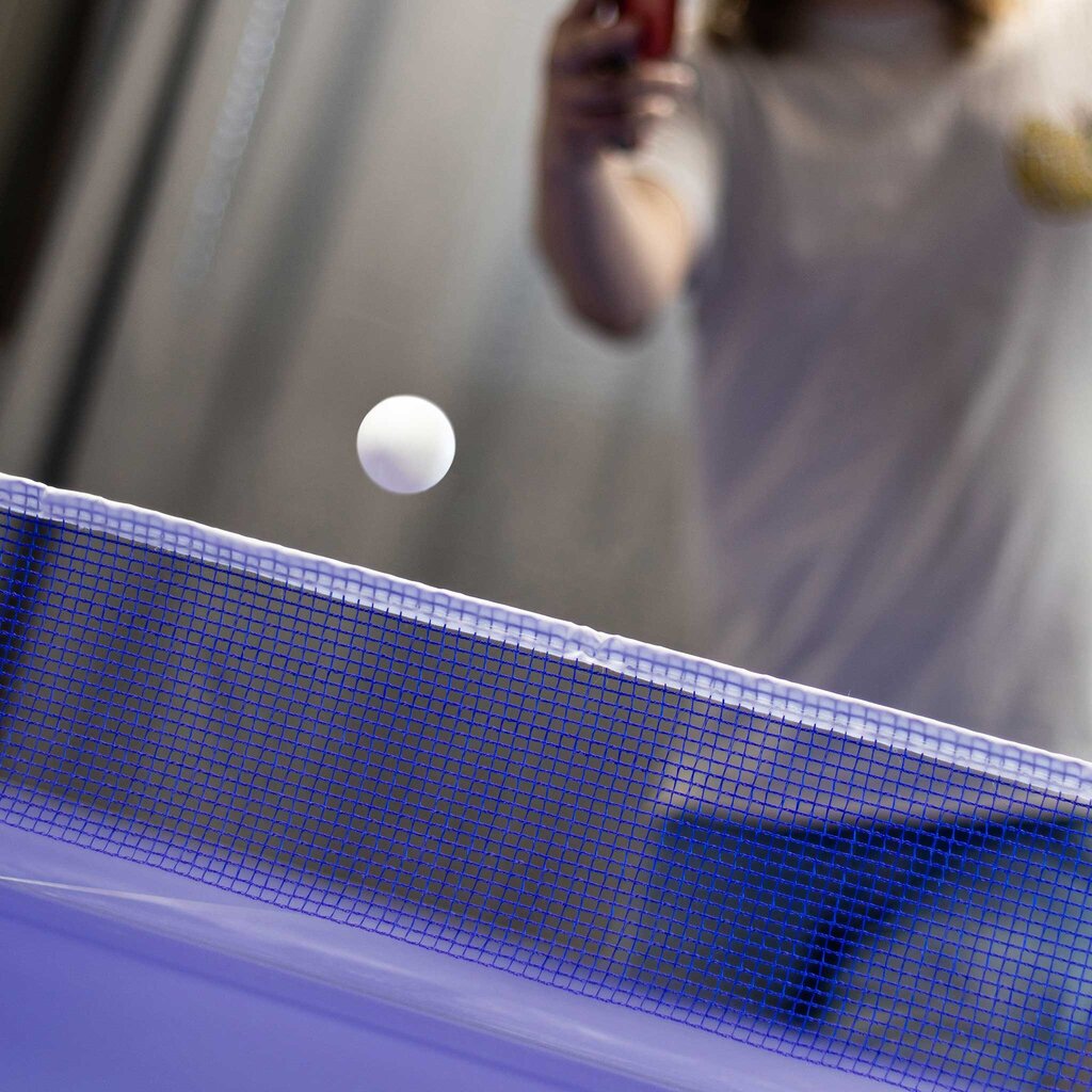 Teniso stalas Prosport Ping Pong, mėlynas kaina ir informacija | Stalo teniso stalai ir uždangalai | pigu.lt