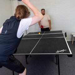 Teniso stalas ProSport Ping Pong, juodas цена и информация | Теннисные столы и чехлы | pigu.lt