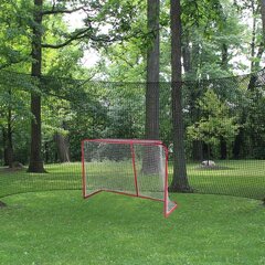 Futbolo vartai Prosport Backnet, 5x2.7m цена и информация | Футбольные ворота и сетки | pigu.lt