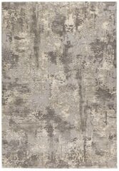 Kilimas Pierre Cardin Monet 160x230 cm kaina ir informacija | Kilimai | pigu.lt