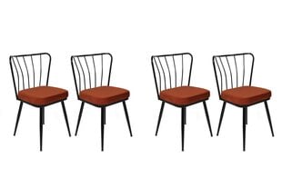 4-ių dalių kėdžių komplektas Asir, raudonas/juodas kaina ir informacija | Virtuvės ir valgomojo kėdės | pigu.lt