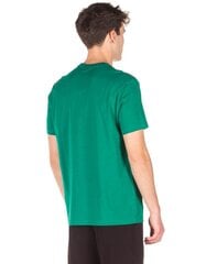 Champion мужская футболка, зеленый цена и информация | Мужские футболки | pigu.lt