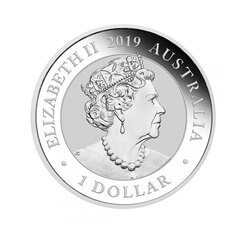 1 oz (31.10 g) sidabrinė moneta Rojaus paukščiai, Australija 2019 цена и информация | Инвестиционное золото, серебро | pigu.lt
