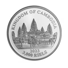 1 oz (31.10 g) sidabrinė spalvota moneta Lost Tigers, Kambodža 2023 kaina ir informacija | Investicinis auksas, sidabras | pigu.lt