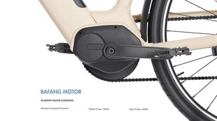 Elektrinis dviratis Dasch Okay EB10 28", smėlio spalvos kaina ir informacija | Elektriniai dviračiai | pigu.lt