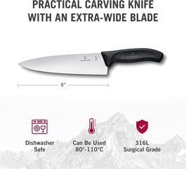 Victorinox peilis, 20 cm kaina ir informacija | Peiliai ir jų priedai | pigu.lt