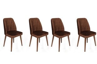 Комплект из 4 стульев Asir, коричневый цена и информация | Стулья для кухни и столовой | pigu.lt