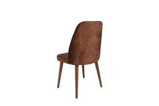 4-ių dalių kėdžių komplektas Asir, rudas kaina ir informacija | Virtuvės ir valgomojo kėdės | pigu.lt