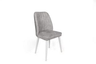 Комплект из 4 стульев Asir, серый/белый/золотой цена и информация | Стулья для кухни и столовой | pigu.lt