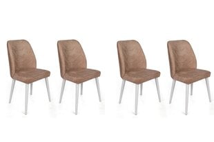 4-ių dalių kėdžių komplektas Asir, 50x90x49 cm, rudas/baltas kaina ir informacija | Virtuvės ir valgomojo kėdės | pigu.lt