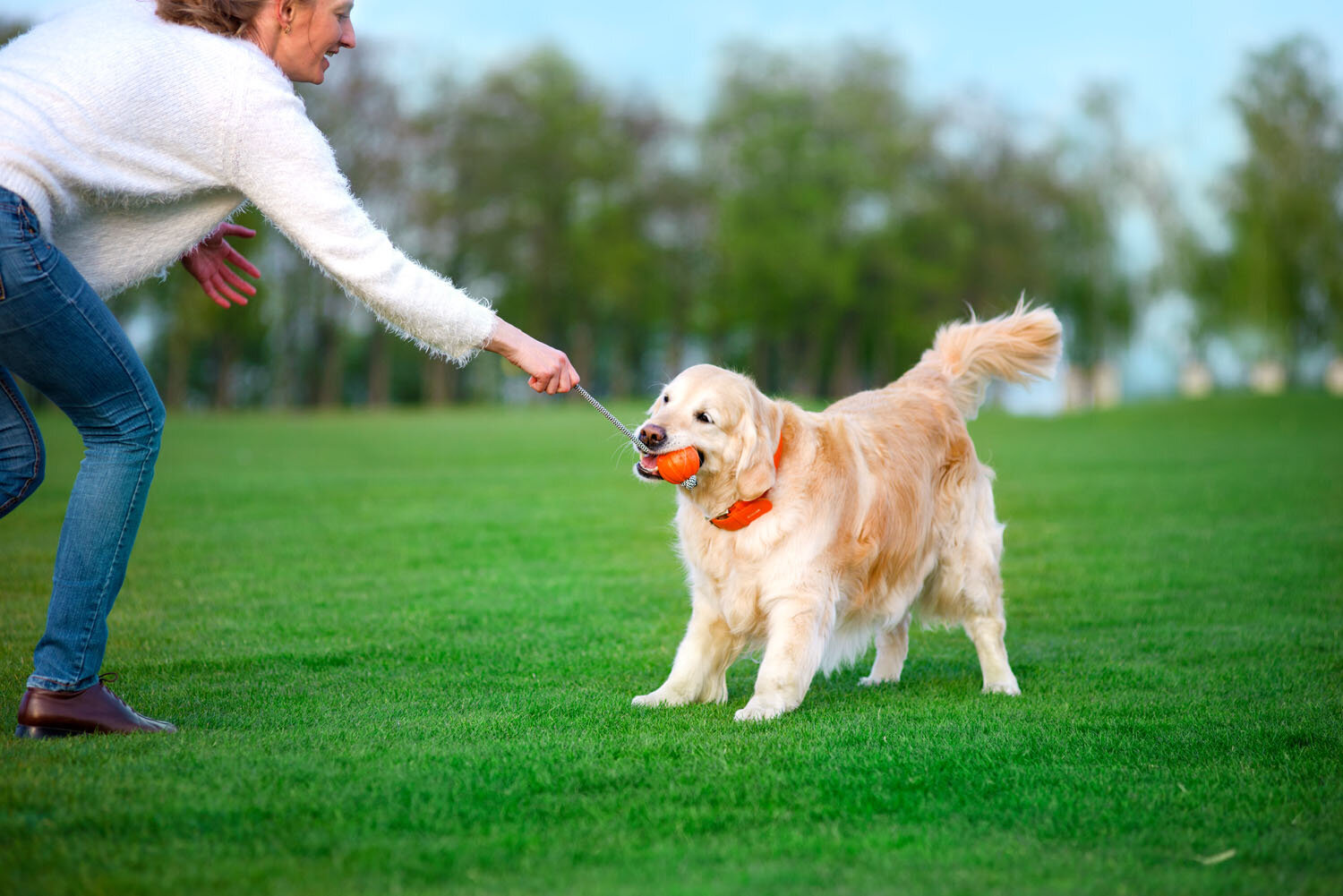 Interaktyvus žaislas šuniui Doggy Liker Cord, 5 cm, oranžinis kaina ir informacija | Žaislai šunims | pigu.lt