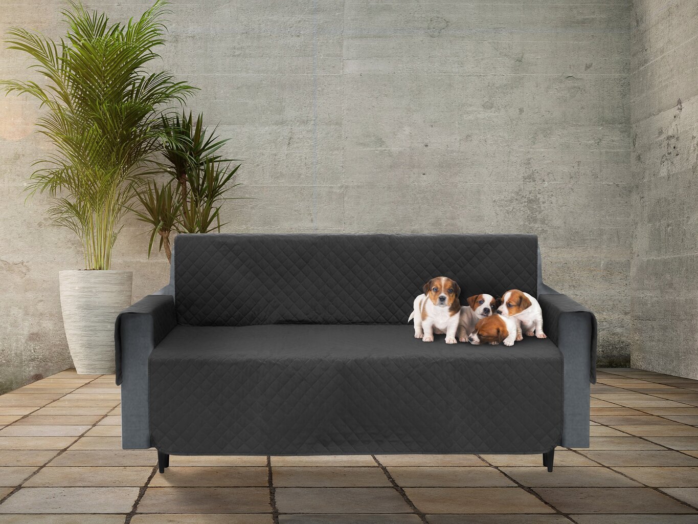 Užvalkalas baldams apsaugai nuo augintinių purvo Doggy Paris, 150 cm, juodas kaina ir informacija | Guoliai, pagalvėlės | pigu.lt