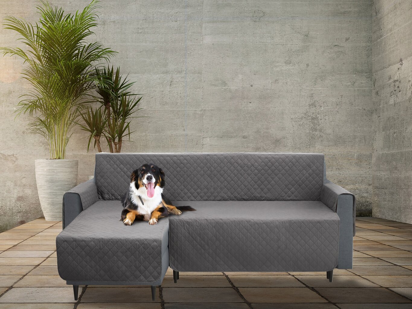Užvalkalas baldams apsaugai nuo augintinių purvo Doggy Paris, 200 cm, pilkas kaina ir informacija | Guoliai, pagalvėlės | pigu.lt