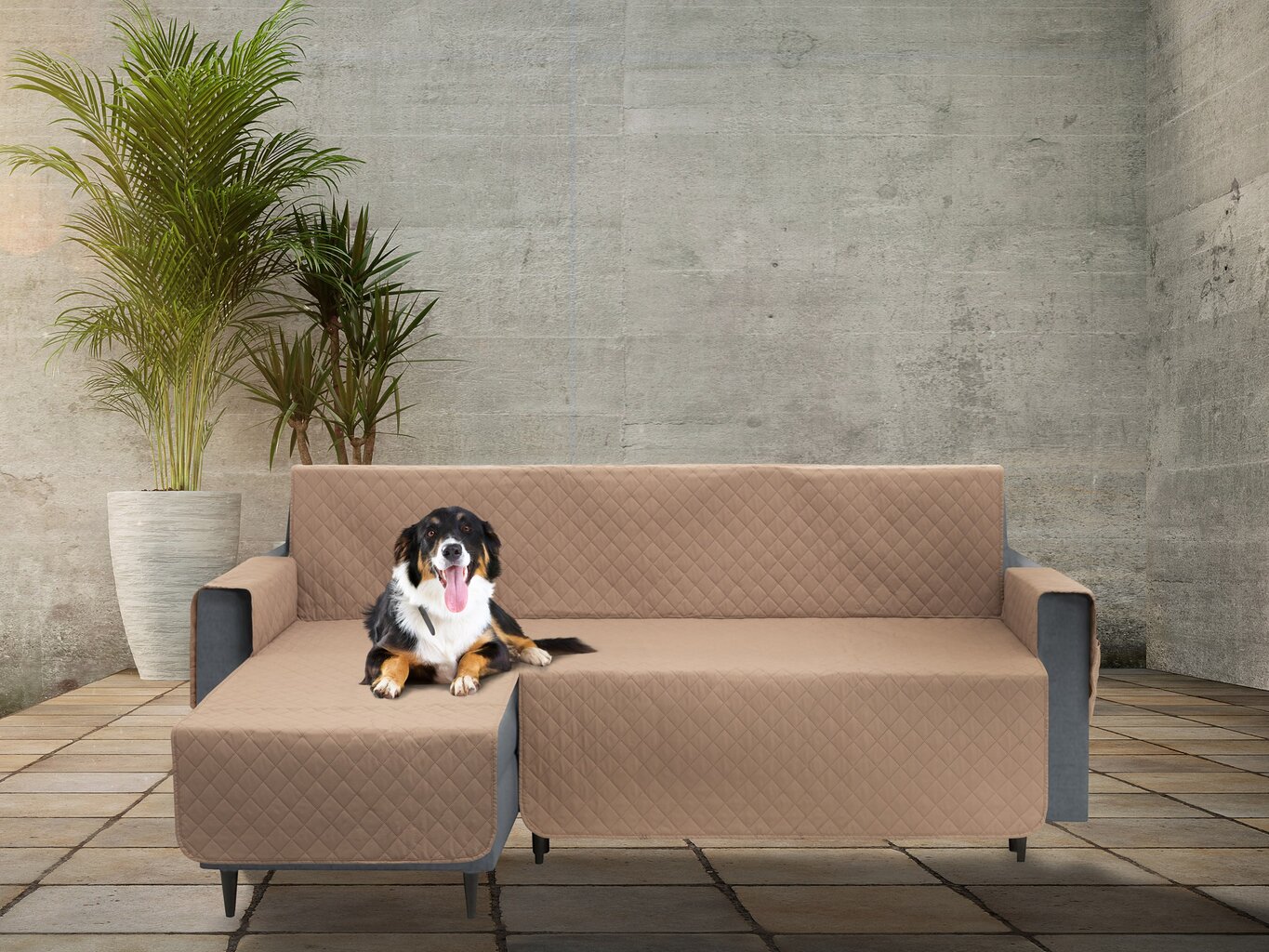 Užvalkalas baldams apsaugai nuo augintinių purvo Doggy Paris, 200 cm, smėlio spalvos kaina ir informacija | Guoliai, pagalvėlės | pigu.lt