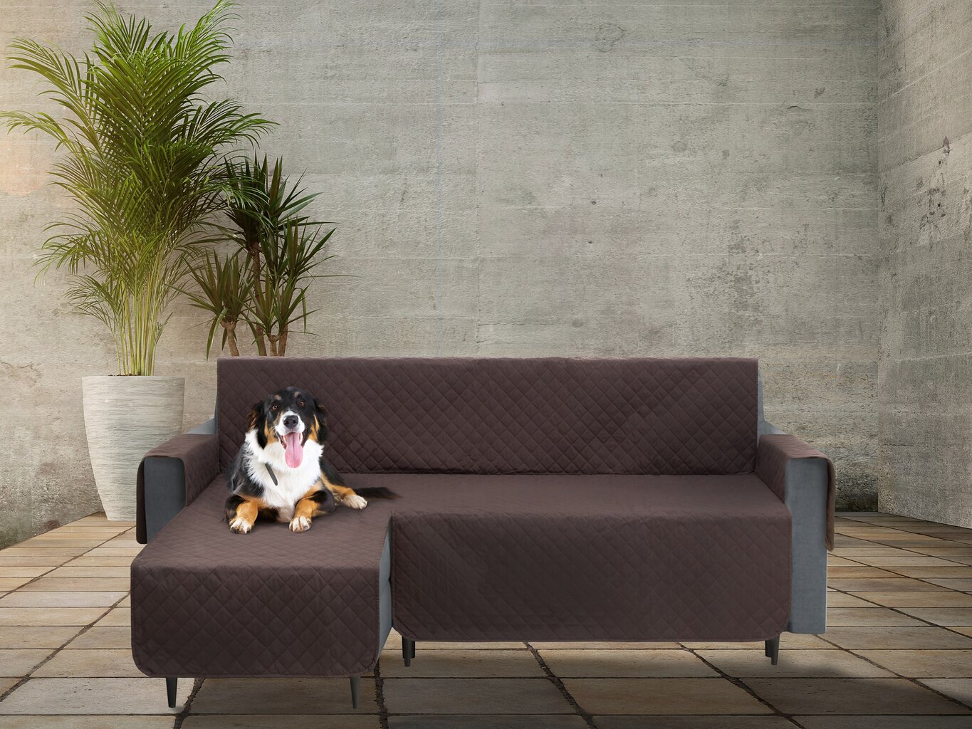 Užvalkalas baldams apsaugai nuo augintinių purvo Doggy Paris, 200 cm, rudas kaina ir informacija | Guoliai, pagalvėlės | pigu.lt