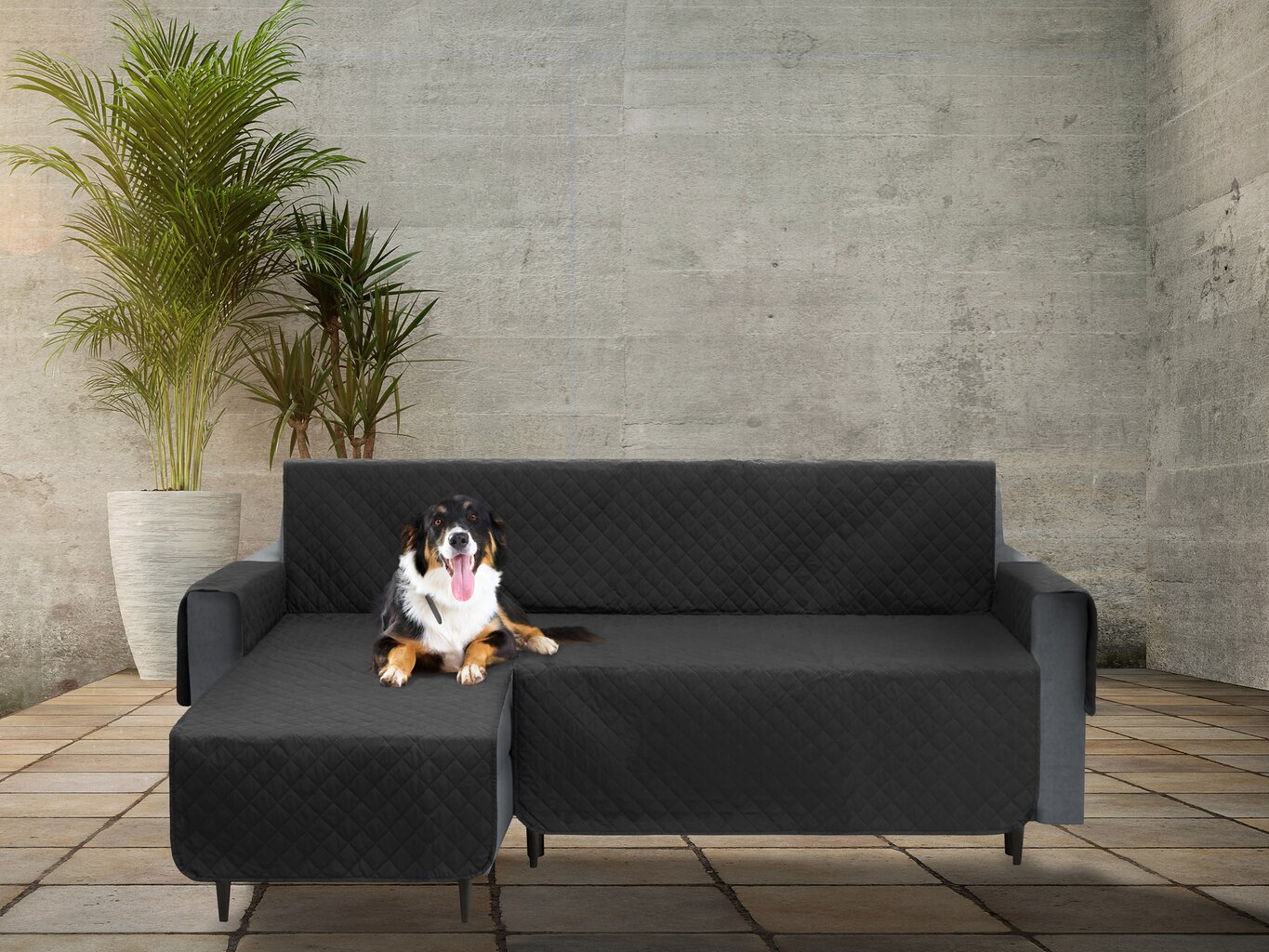 Užvalkalas baldams apsaugai nuo augintinių purvo Doggy Paris, 200 cm, juodas kaina ir informacija | Guoliai, pagalvėlės | pigu.lt
