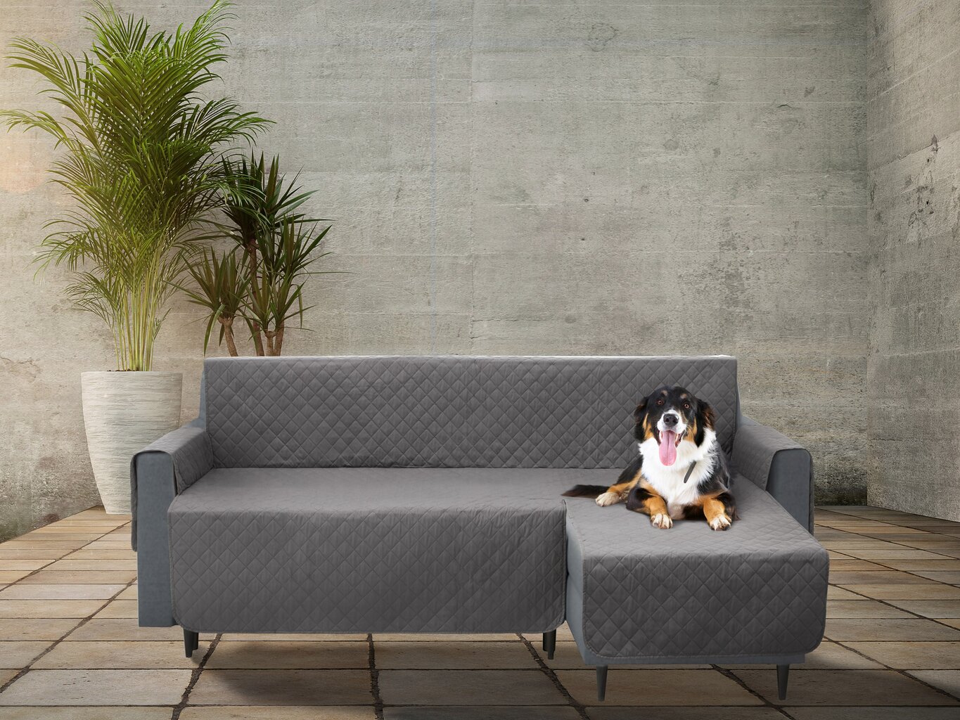 Užvalkalas baldams apsaugai nuo augintinių purvo Doggy Paris, 200 cm, pilkas цена и информация | Guoliai, pagalvėlės | pigu.lt