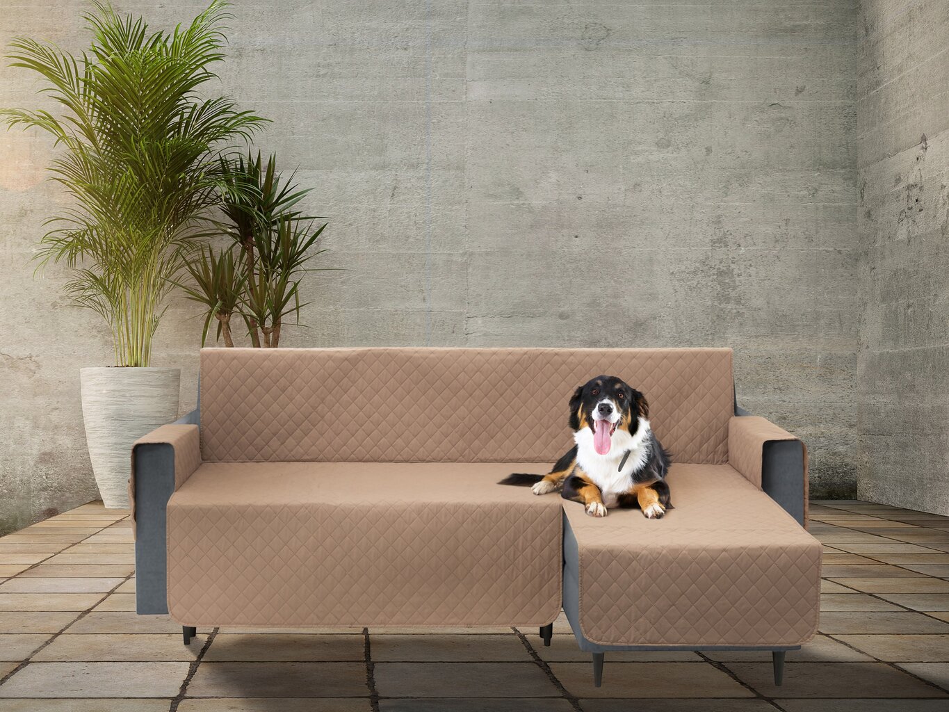 Užvalkalas baldams apsaugai nuo augintinių purvo Doggy Paris, 240 cm, smėlio spalvos kaina ir informacija | Guoliai, pagalvėlės | pigu.lt