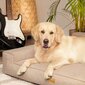 Guolis augintiniams Doggy Glamour, įvairių dydžių, rudas цена и информация | Guoliai, pagalvėlės | pigu.lt