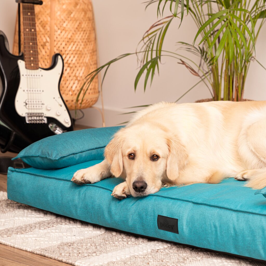 Neperšlampamas guolis šunims Doggy Champion, įvairių dydžių, mėlynas kaina ir informacija | Guoliai, pagalvėlės | pigu.lt