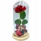 Amžina rožė stikliniame kupole su LED lemputėmis цена и информация | Kitos originalios dovanos | pigu.lt
