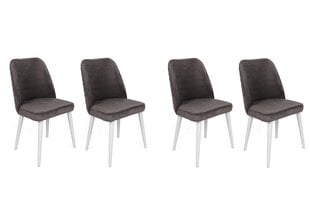 4-ių dalių kėdžių komplektas Asir, 50x90x49 cm, pilkas/baltas kaina ir informacija | Virtuvės ir valgomojo kėdės | pigu.lt