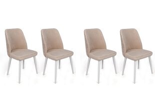 4-ių dalių kėdžių komplektas Asir, 50x90x49 cm, rožinis/baltas kaina ir informacija | Virtuvės ir valgomojo kėdės | pigu.lt