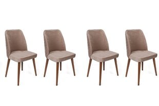 4-ių dalių kėdžių komplektas Asir, 50x90x49 cm, smėlio spalvos/rudas kaina ir informacija | Virtuvės ir valgomojo kėdės | pigu.lt