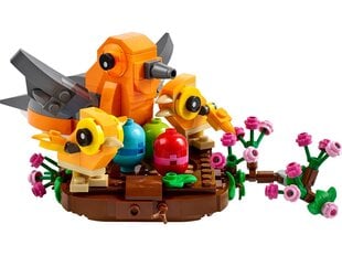 40639 LEGO Paukščių lizdas, 232d цена и информация | Конструкторы и кубики | pigu.lt