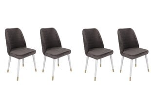 4-ių dalių kėdžių komplektas Asir, pilkas/baltas kaina ir informacija | Virtuvės ir valgomojo kėdės | pigu.lt