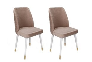 4-ių dalių kėdžių komplektas Asir, smėlio/baltas kaina ir informacija | Virtuvės ir valgomojo kėdės | pigu.lt