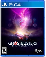 Ghostbusters: Spirits Unleashed PS4 цена и информация | Компьютерные игры | pigu.lt