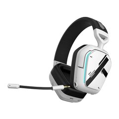 Thunderobot Shadow Wing wireless headset HL504 (white) цена и информация | Наушники | pigu.lt