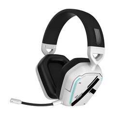 Thunderobot Shadow Wing wireless headset HL504 (white) цена и информация | Наушники | pigu.lt