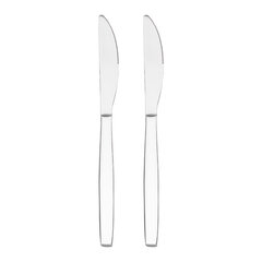 Fissman набор столовых ножей Trento, 23 см, 2 шт цена и информация | Столовые приборы | pigu.lt