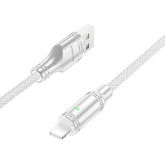 Borofone Cable BU40 Advantage - USB to Type C - 3A 1,2 metres grey цена и информация | Кабели для телефонов | pigu.lt