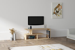 TV staliukas Asir, 100x40x29,6 cm, smėlio spalvos kaina ir informacija | TV staliukai | pigu.lt
