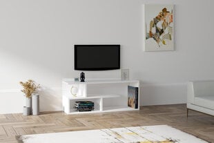 TV staliukas Asir, 100x40x29,6 cm, baltas kaina ir informacija | TV staliukai | pigu.lt