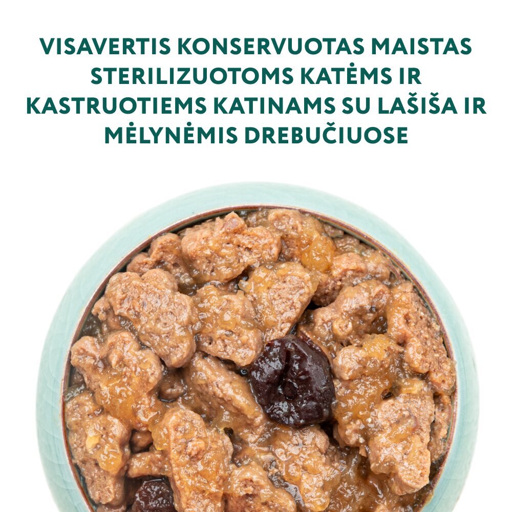 Optimeal sterilizuotoms katėms su lašiša ir mėlynėmis drebučiuose, 85 g x 12 vnt. цена и информация | Konservai katėms | pigu.lt