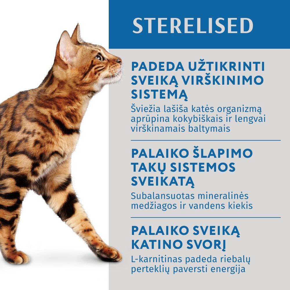 Optimeal sterilizuotoms katėms su lašiša ir mėlynėmis drebučiuose, 85 g x 12 vnt. kaina ir informacija | Konservai katėms | pigu.lt