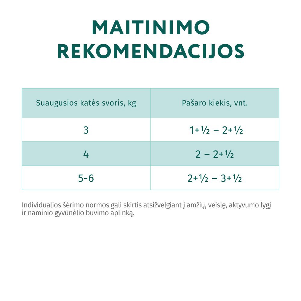 Optimeal sterilizuotoms katėms su lašiša ir mėlynėmis drebučiuose, 85 g x 12 vnt. цена и информация | Konservai katėms | pigu.lt