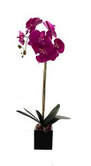 Искусственная орхидея Флорин, 55см цена и информация | Искусственные цветы | pigu.lt