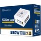 SilverStone DA850R Gold kaina ir informacija | Maitinimo šaltiniai (PSU) | pigu.lt