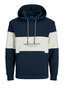 Jack&Jones bluzonas vyrams 12246802, įvairių spalvų цена и информация | Džemperiai vyrams | pigu.lt