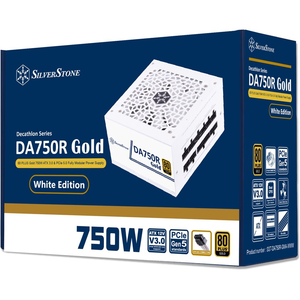 SilverStone DA750R Gold kaina ir informacija | Maitinimo šaltiniai (PSU) | pigu.lt