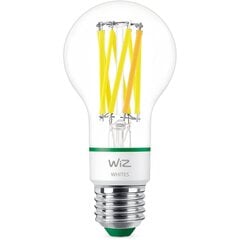 WiZ Kaitrinė Led lemputė A60 60W E27 1 vnt цена и информация | Электрические лампы | pigu.lt